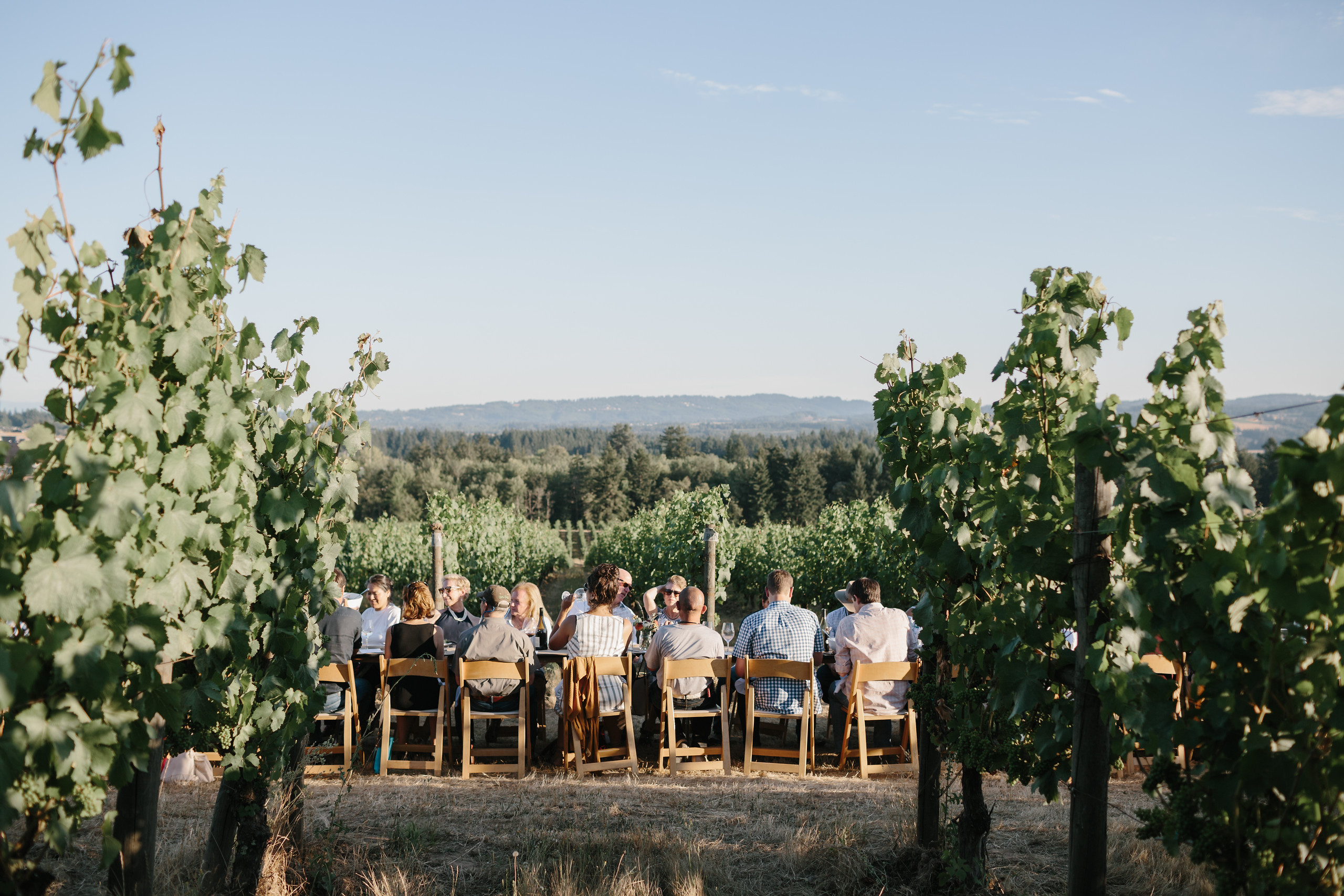 Biodynamic Wine Tasting Tours located in Willamette Valley Oregon